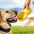 Portable Pet Travel Bowl