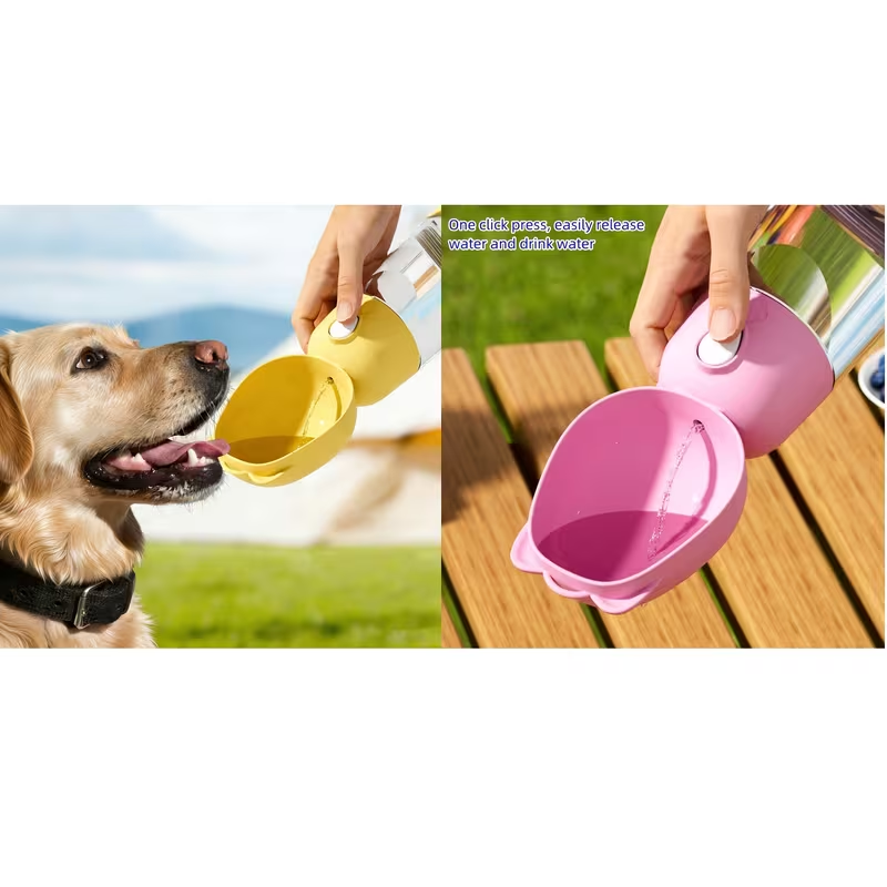 Portable Pet Travel Bowl