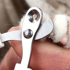 Professional Pet Grooming Scissors