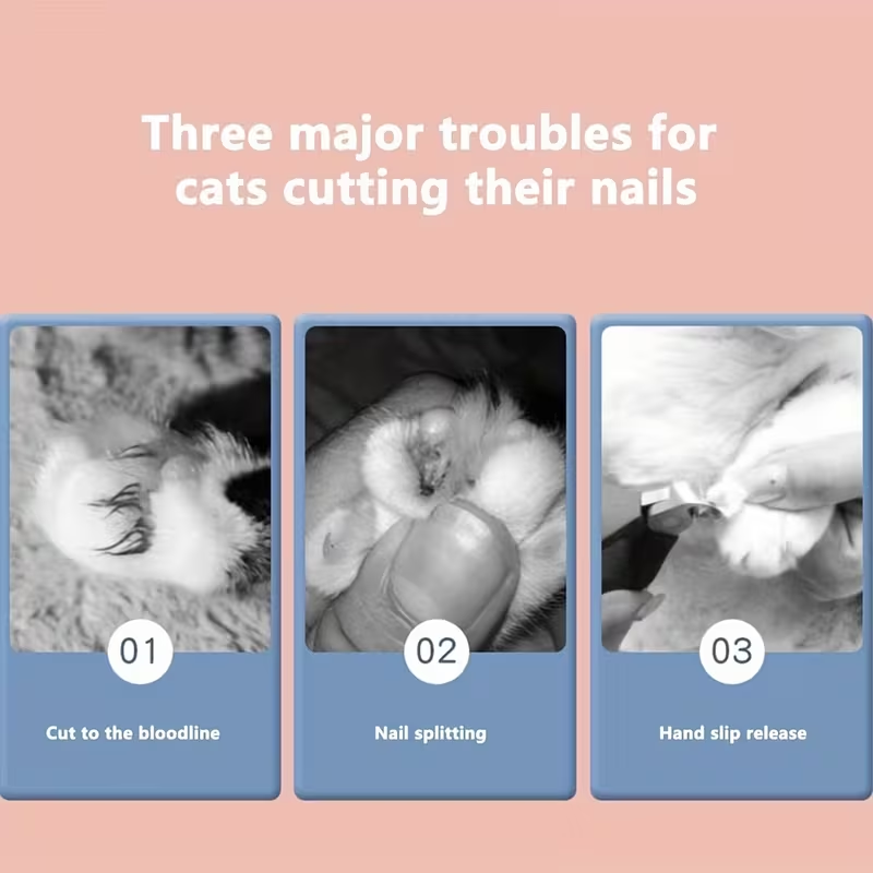 Professional Pet Grooming Scissors